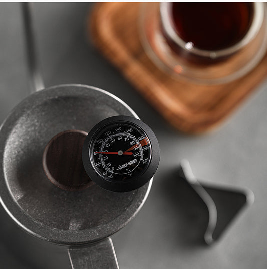 Pointer thermometer